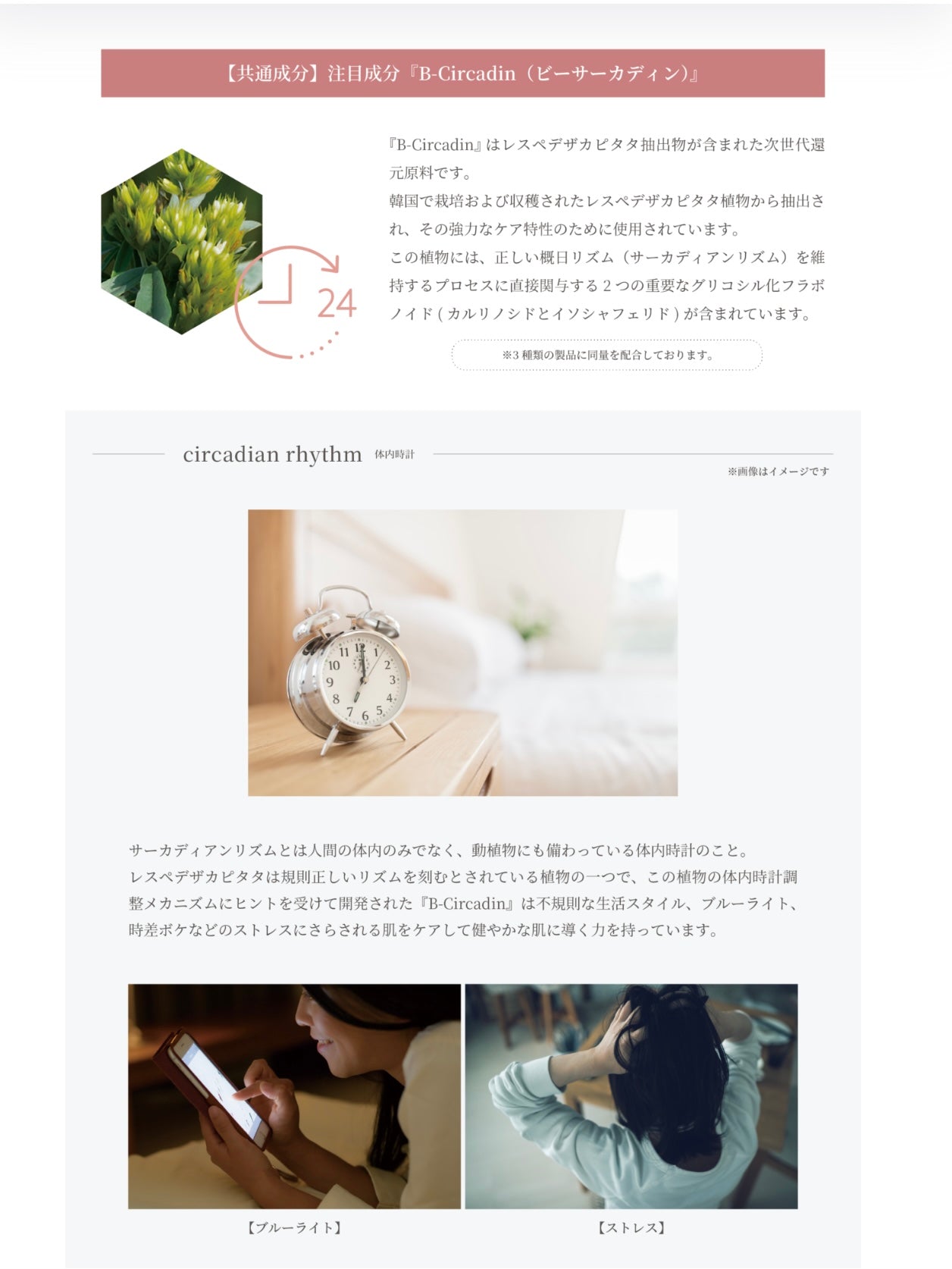 スピケア|タイディリズム ハンドクリーム