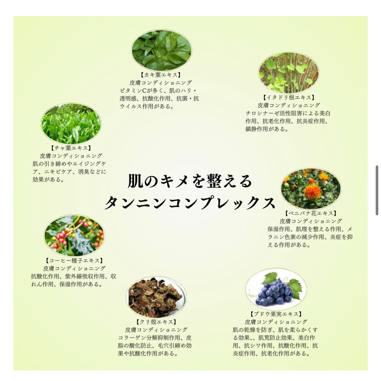 スピケア|V3 VSPIC C クレイパック