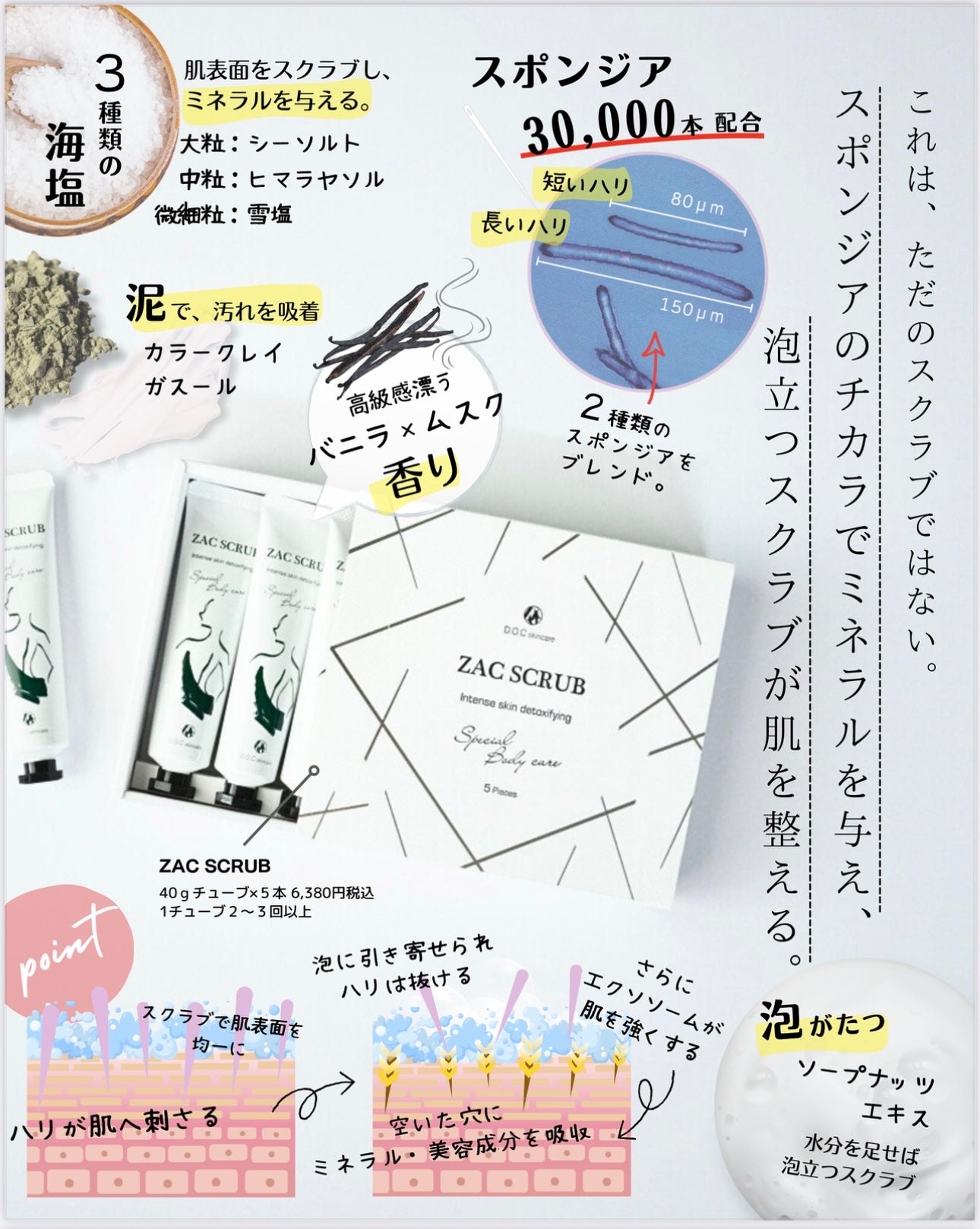 スポンジアボディスクラブ｜ザックスクラブ