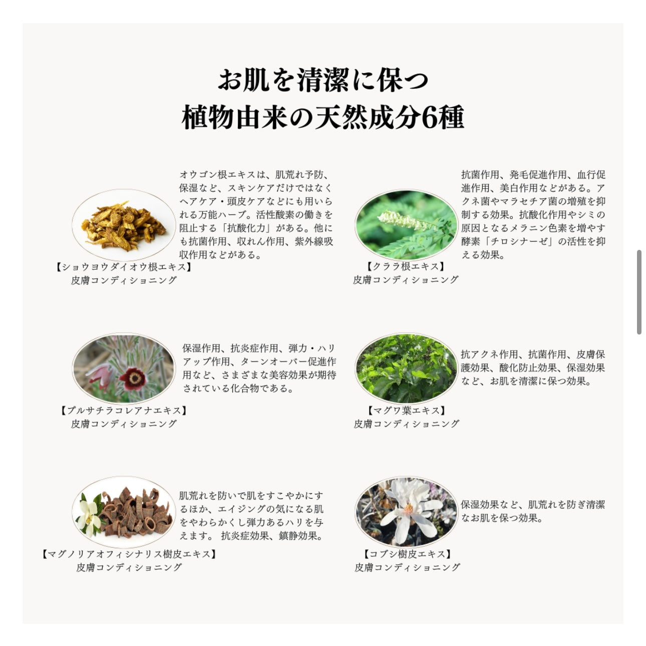 スピケア｜V3 VSPIC C クレイパック