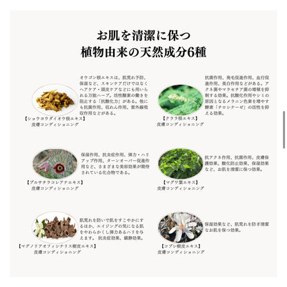 スピケア｜V3 VSPIC C クレイパック